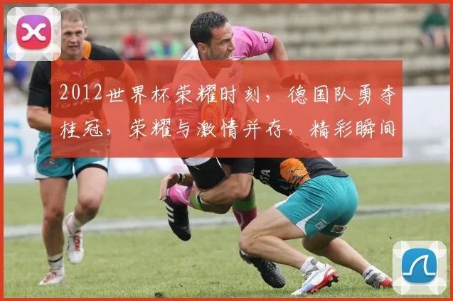 2012世界杯荣耀时刻，德国队勇夺桂冠，荣耀与激情并存，精彩瞬间再现