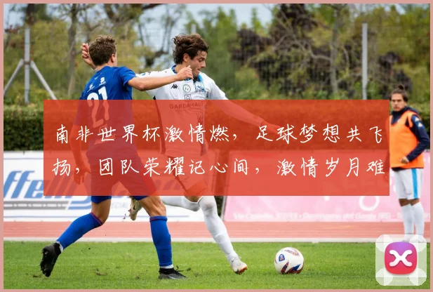 南非世界杯激情燃，足球梦想共飞扬，团队荣耀记心间，激情岁月难忘记。