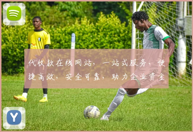 代收款在线网站，一站式服务，便捷高效，安全可靠，助力企业资金周转，轻松管理