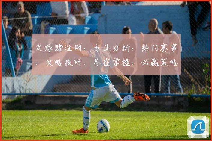 足球赌注网，专业分析，热门赛事，攻略技巧，尽在掌握，必赢策略，一网打尽