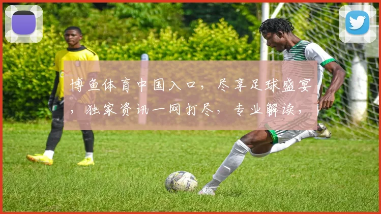 博鱼体育中国入口，尽享足球盛宴，独家资讯一网打尽，专业解读，必看攻略