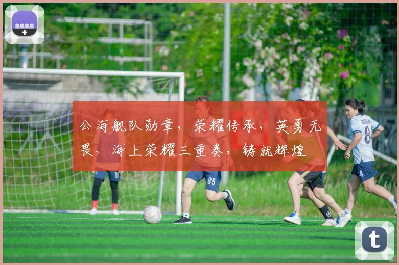 公海舰队勋章，荣耀传承，英勇无畏，海上荣耀三重奏，铸就辉煌