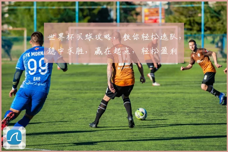 世界杯买球攻略，教你轻松选队，稳中求胜，赢在起点，轻松盈利